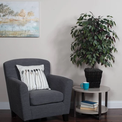 Capensia Bush In Square Willow Container (48") - Image 5