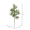 Vickerman 26" Artificial Green Olive Leaf Spray. Includes 3 Sprays Per Pack.
