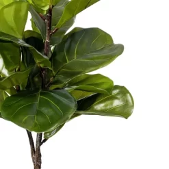 Vickerman 27" Green Fiddle Leaf Plant In Black Pot.