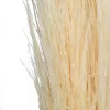 Vickerman 46" Dried Bleached Pampas Grass, 6 Pieces Per Pack.