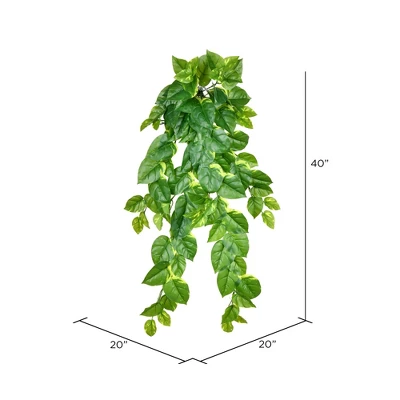 Vickerman 40" Artificial Pothos Hanging Bush.