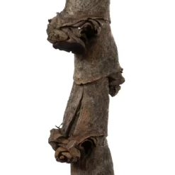 Vickerman 40-48" Natural Ladder Branches, Dried