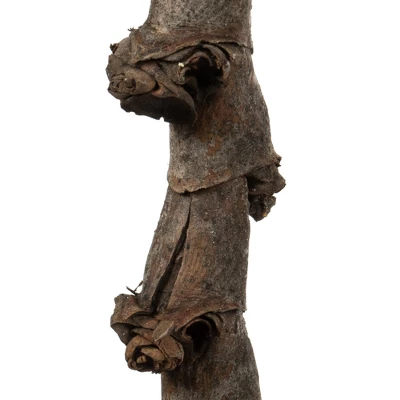 Vickerman 40-48" Natural Ladder Branches, Dried