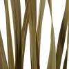 Vickerman 18-30" Snake Grass, Dried - 36 Stems