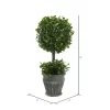 Vickerman Artificial Green Boxwood Topiary