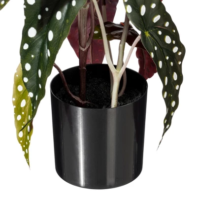 Vickerman 18" Begonia Maculata In Black Planter's Pot. - Image 2