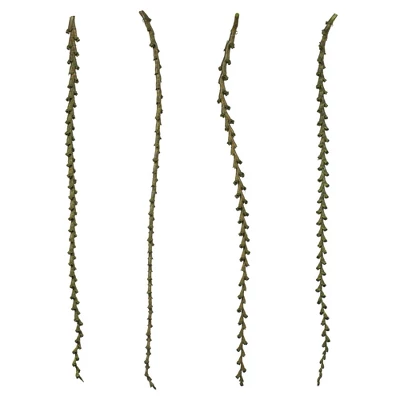 Vickerman 40-48" Natural Ladder Branches, Dried - Image 5
