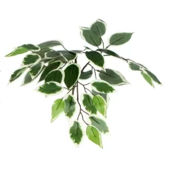 4' Artificial Variegated Ficus Bush - Vickerman