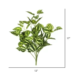 Vickerman 17" Artificial Green And White Peperomia Bush, 3 Pack
