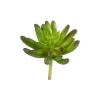 Vickerman 4" Artificial Assorted Succulent Picks, Set Of 4