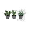 Vickerman 7" Artificial Green Potted Plant Assortment, Set Of 3