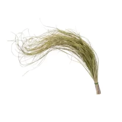 Vickerman 28-32" Dried Bear Grass Field Bunch, 2 Per Pack.