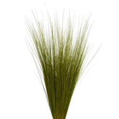 Vickerman Bright Grass, Dried