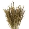 Vickerman 36" Congo Grass Bundle, 8 Oz Dried