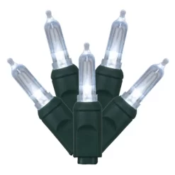 Vickerman Italian LED Single Mold Green Wire Christmas Light Set, Poly Bag