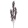 Vickerman 43" Dry Hanging Grass Branch