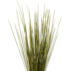 Vickerman 24-30" Basil Whip Grass. Comes In An 8 Oz Bundle, Pack Of 2, Dried