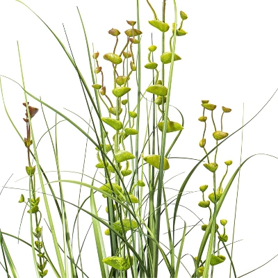 Artificial Eucalyptus Grass Potted (36") - Vickerman - Image 6