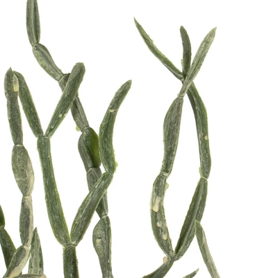 Vickerman 32" Artificial Mixed Green Haworthia Spray. Includes 6 Sprays Per Pack. - Image 4