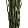 Vickerman 34-40" Moneta Branches, Dried 8oz