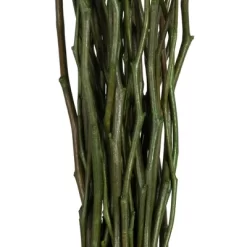 Vickerman 34-40" Moneta Branches, Dried 8oz