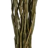 Vickerman 34-40" Moneta Branches, Dried 16oz