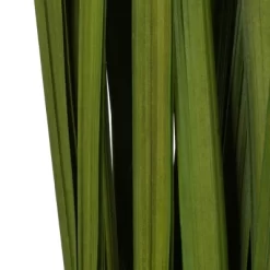 Vickerman Sable Grass, Dried