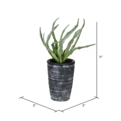 Vickerman 11" Artificial Green Gray Potted Haworthia.