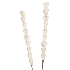 Vickerman Natural Botanicals 24" Natural Dried Sola Rajani Stick- 24 Sticks/polybag. It Measures 24 Inches Long. It Includes Twenty-four Pieces Per