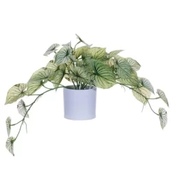 Vickerman 16" Artificial Light Green Variegated Leaves In Pot.