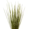 Vickerman 24-30" Basil Whip Grass, 8 Oz Bundle, Dried