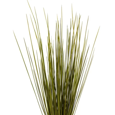 Vickerman 24-30" Basil Whip Grass, 8 Oz Bundle, Dried