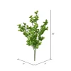 Vickerman 18" Artificial UV Coated Green Boxwood Bush.