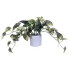 Vickerman 16" Artificial Green Variegated Leaves In Pot.
