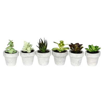 Vickerman Artificial Assorted Potted Artificial Succulents - Image 2