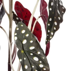 Vickerman 18" Begonia Maculata In Black Planter's Pot.