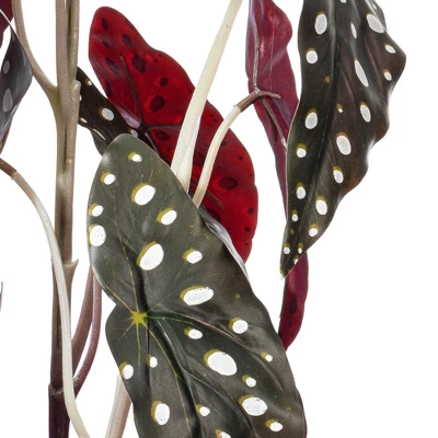 Vickerman 18" Begonia Maculata In Black Planter's Pot.