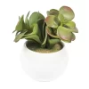 Vickerman 5" Artificial Assorted Potted Succulents.