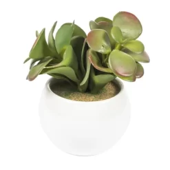 Vickerman 5" Artificial Assorted Potted Succulents.