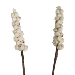 Vickerman Natural Botanicals 24" Natural Dried Sola Berries Stick- 24 Sticks/polybag. It Includes Twenty-four Pieces Per Bag. This Item Is A Natural