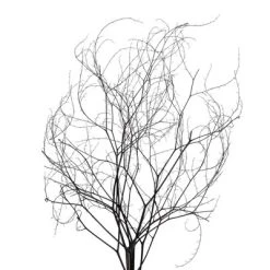 Vickerman 18-20" Natural Brown Skeleton Branch 3 Packs (2 Per Pack), Dried